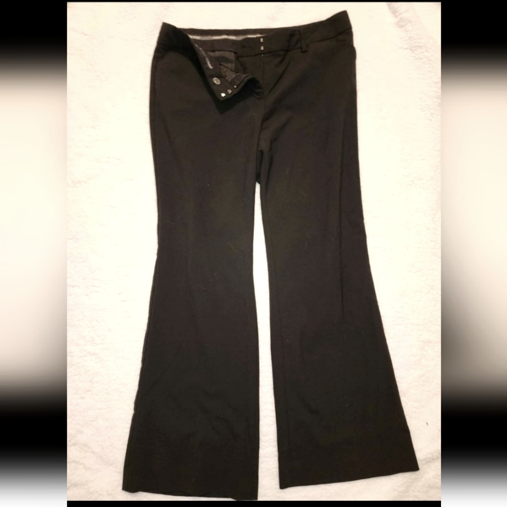 Express Design Studio Pants